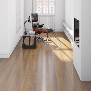 Brazilian Chestnut